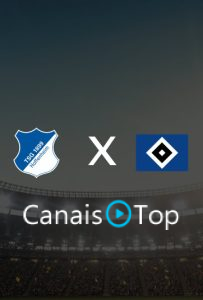 Hoffenheim x Hamburgo – Ao Vivo – 10/10/2026 – 10h30